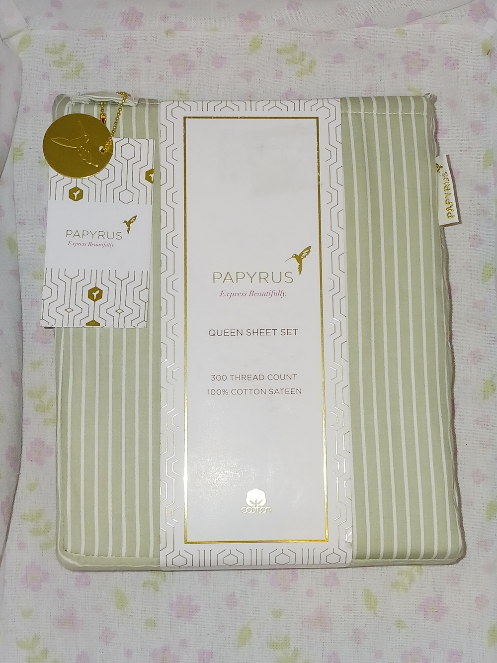 ✨️SEALED✨️ Papyrus Queen Sheet Set in Sage Green with White Stripes